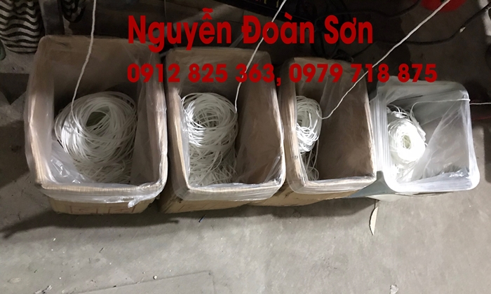 Dây chuyền dây chun làm khẩu trang