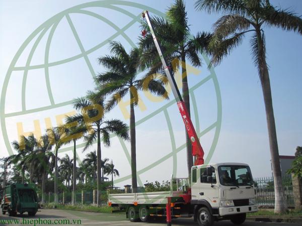Xe tải gắn cẩu