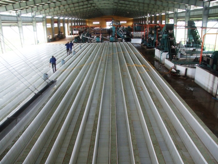 Nhà máy sản xuất cao su