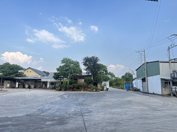 Sân