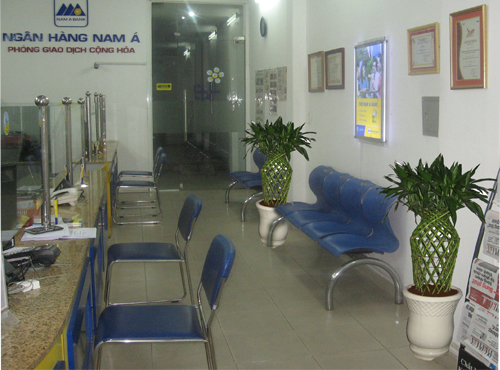 Thi công cây nội thất