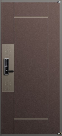 Cửa thép 717