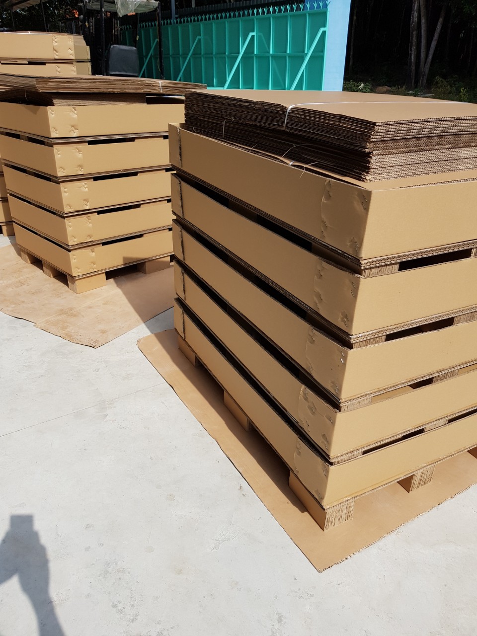 Pallet giấy