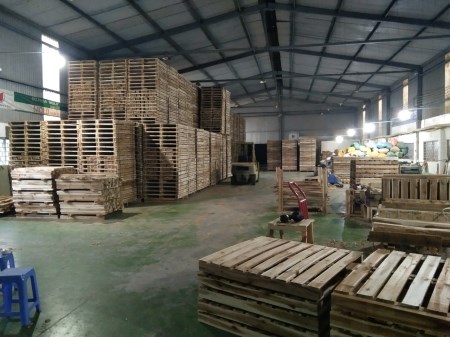 Pallet gỗ keo