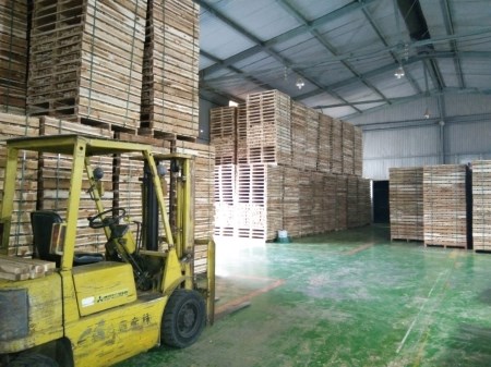 Pallet gỗ keo