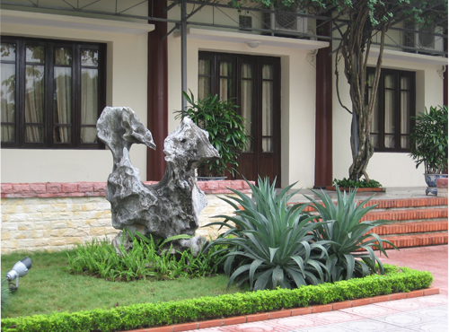 Chăm sóc bảo dưỡng cây