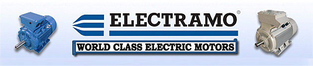 Motor Electramo