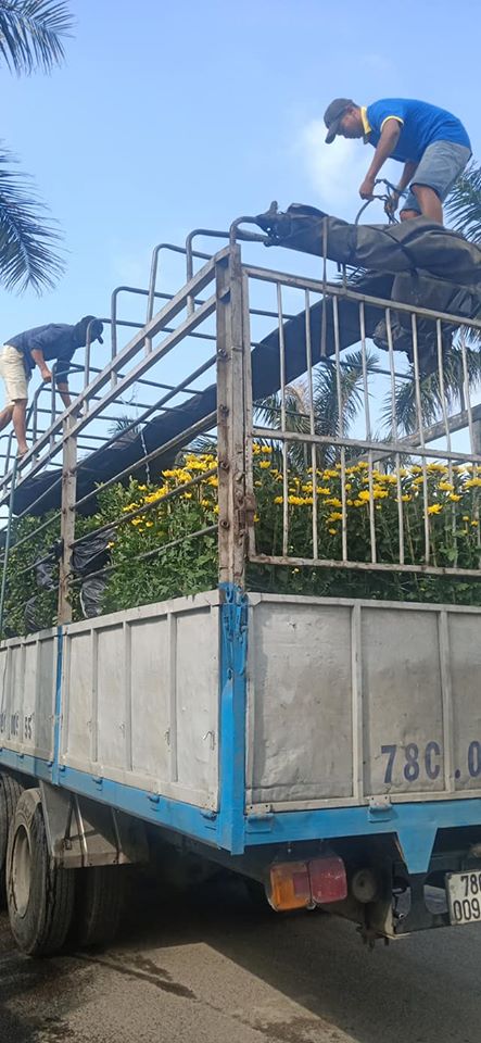 Dịch Vụ Vận Chuyển Hàng Hóa
