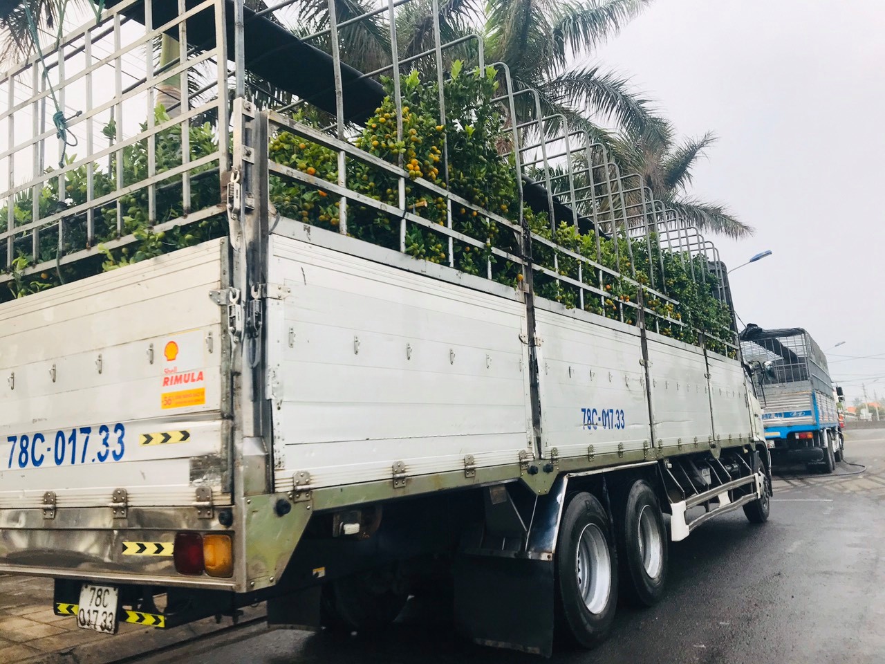 Dịch Vụ Vận Chuyển Hàng Hóa