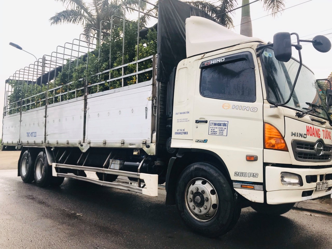 Dịch Vụ Vận Chuyển Hàng Hóa