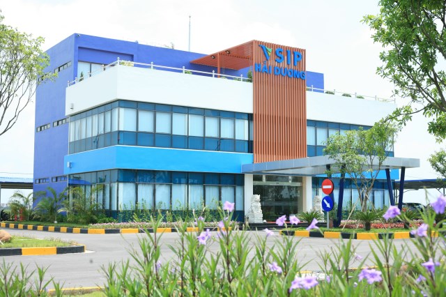 Dự án