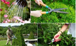 Chăm sóc cảnh quan