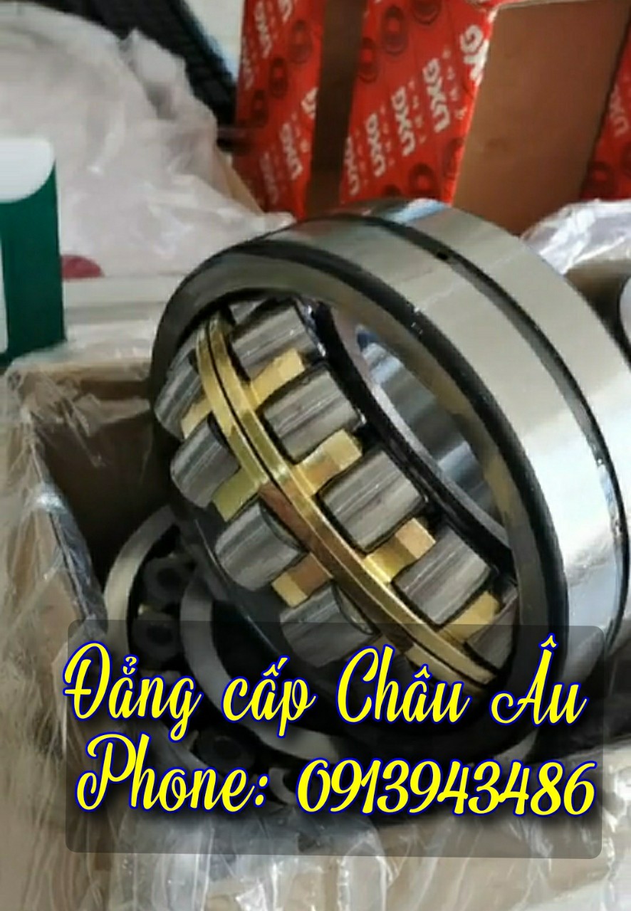 Vòng bi UXG
