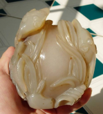 Mã não nước