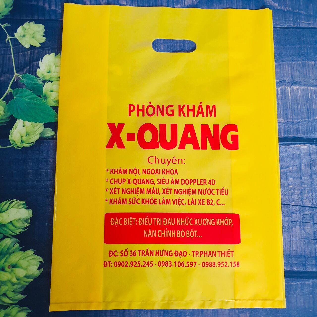 In túi hộtxoài