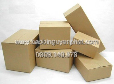Hộp Carton