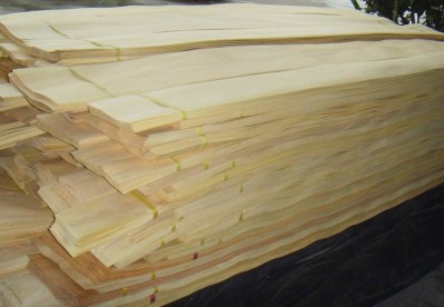 Veneer Cao su