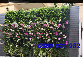 Thiết kế vườn tường đứng