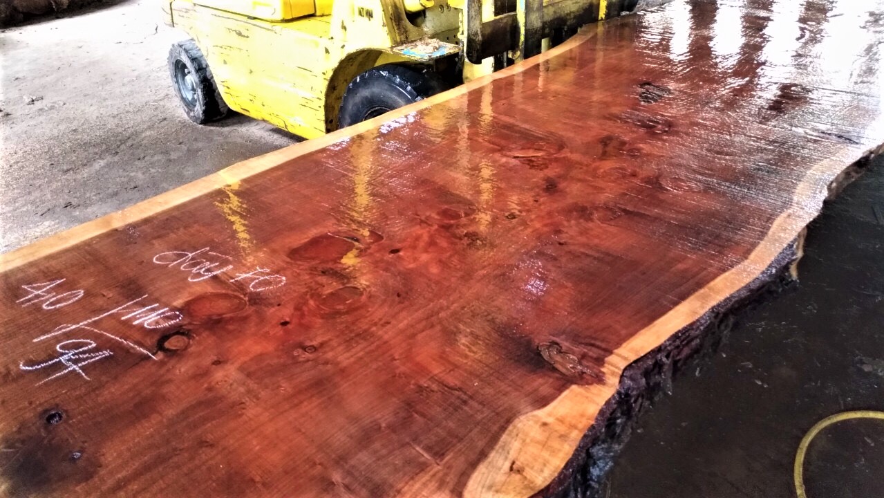 Gỗ Red wood - Mỹ