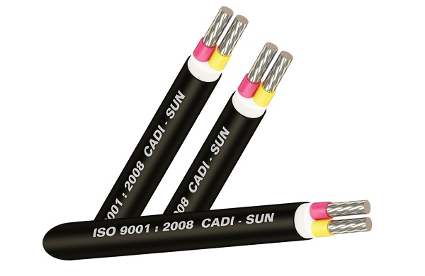 Dây cáp điện AVV 2X