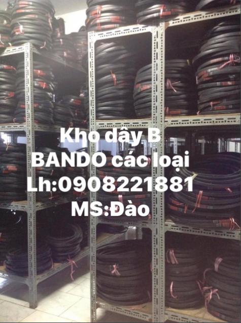 Dây B Bando