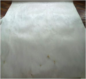 Veneer bóc tròn