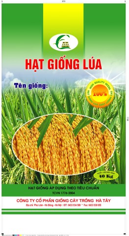 Bao lúa giống 40KG Hà Tây