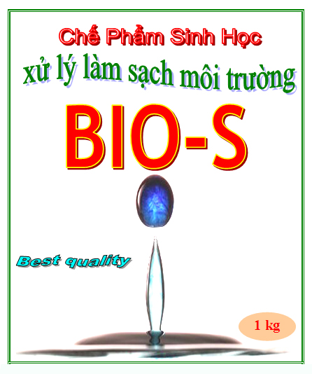 Men vi sinh BIO-S xử lý nước thải bể kị khí