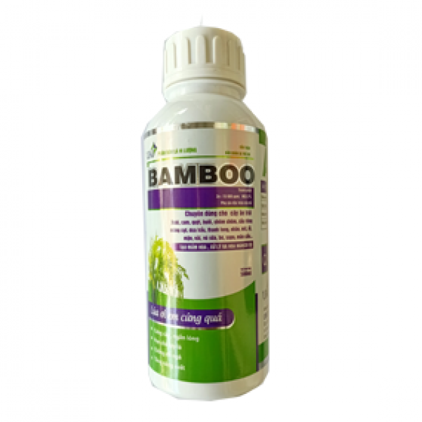 Bamboo