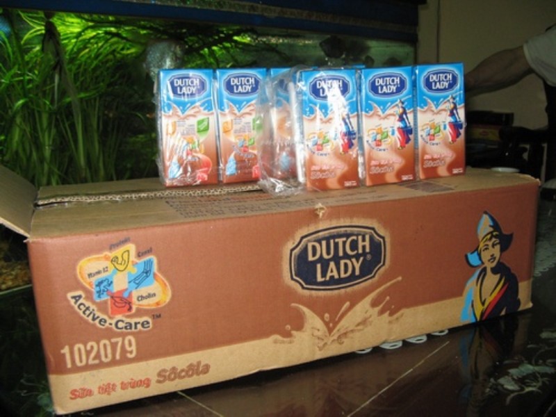 bao bì carton
