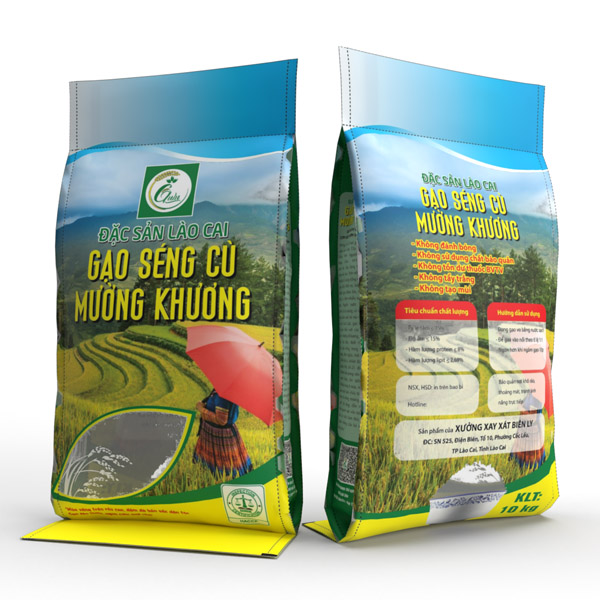 Bao PP dệt in đựng gạo 10kg