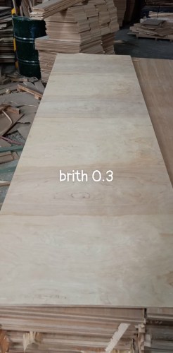 Gỗ Birch