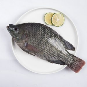 Cá rô phi
