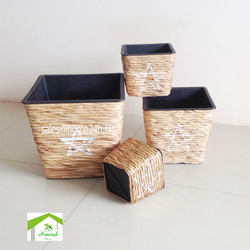 Bộ 4 chậu vuông lục bình