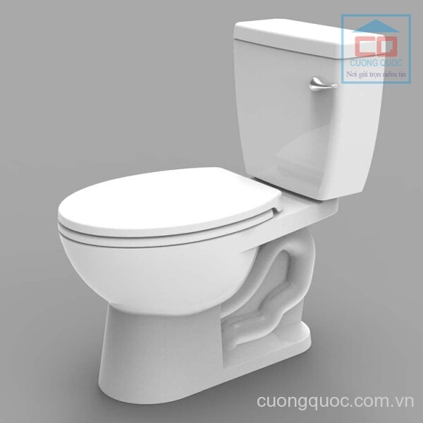 Bồn cầu 2 khối cao cấp Bravat C21216W 3 ENG