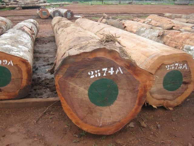Gỗ Bubinga