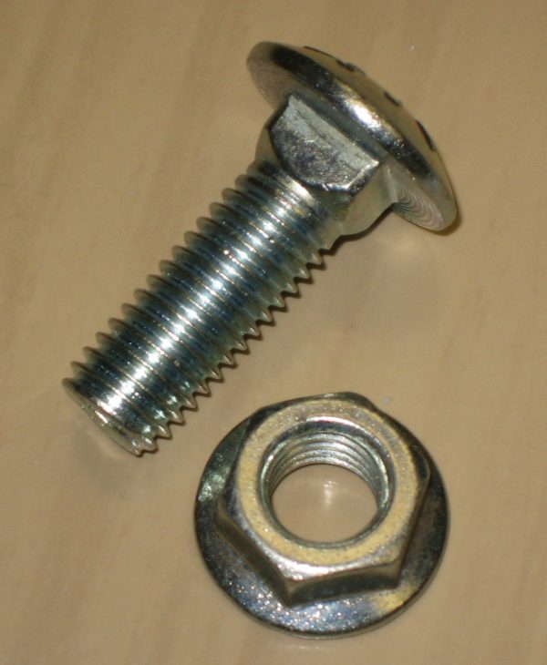 Bulong đầu tròn