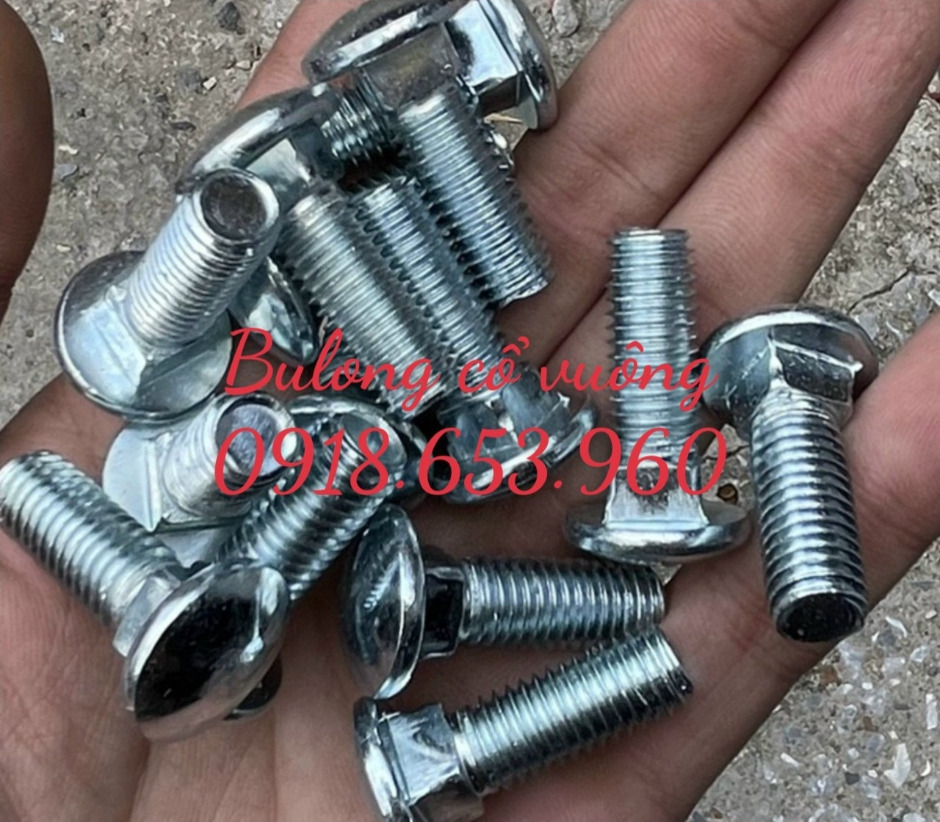Bulong thép cổ vuông