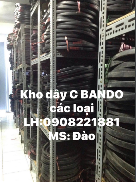 Dây C Bando