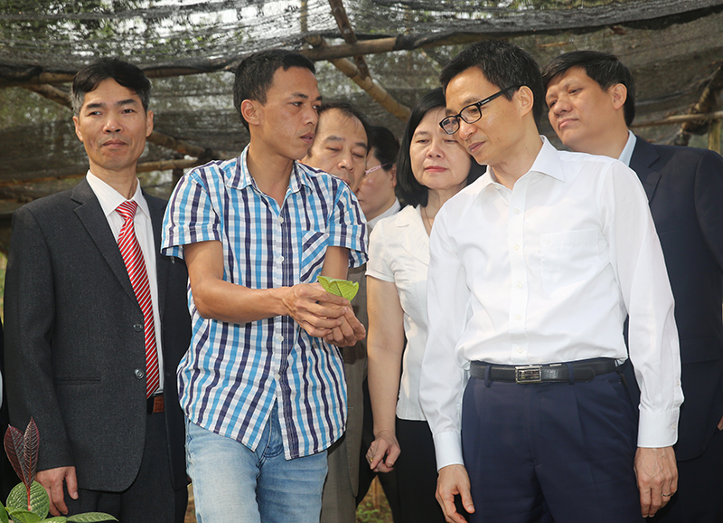 Ông Vũ Đức Đam ghé thăm vườn ươm