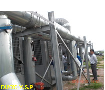 Công ty CP Dược Y.S.P