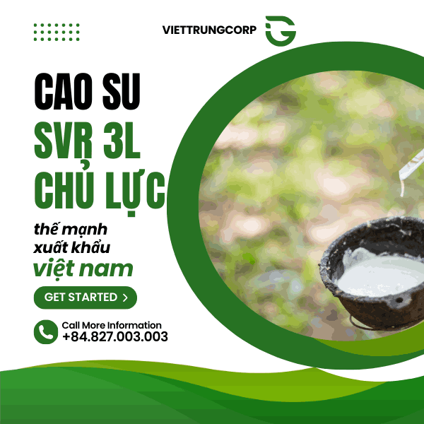 Cao su SVR 3L