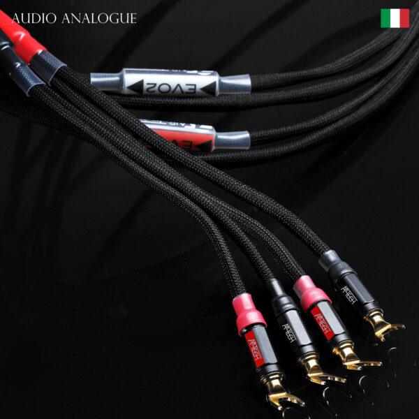 Cáp tín hiệu RCA Audio Analogue Series EVO2