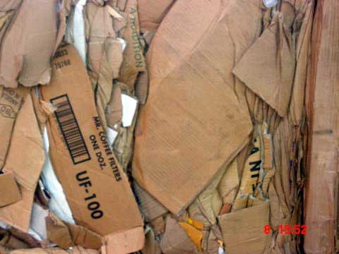 Hộp Carton