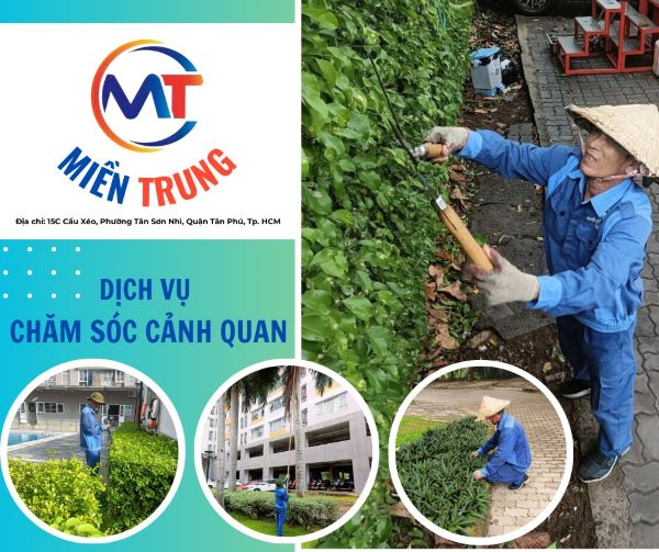 Dịch vụ cắt tỉa cây xanh