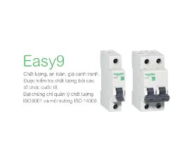 Cầu dao chống dòng rò RCCB