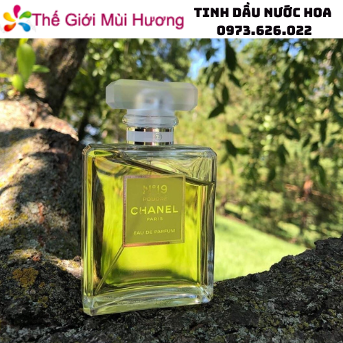 资质或荣誉图片