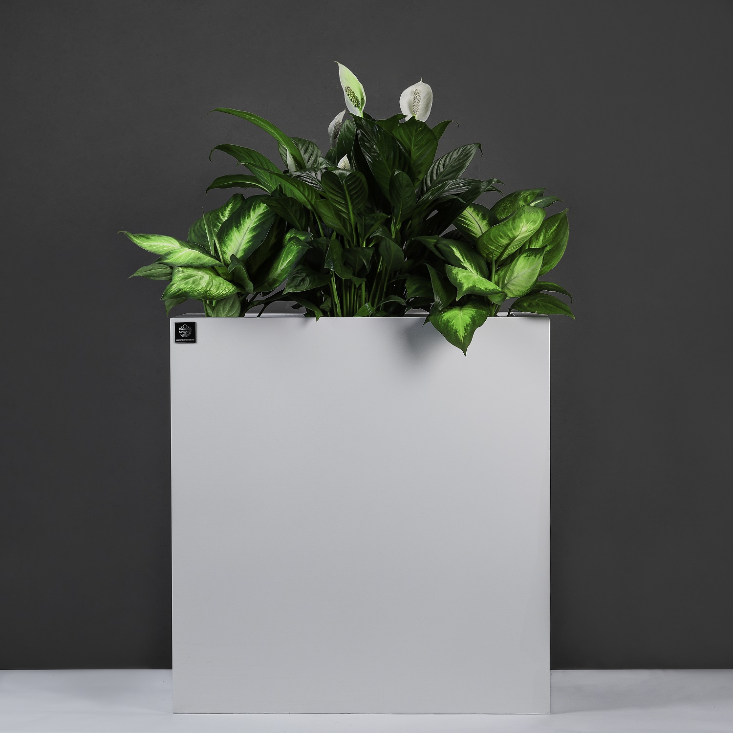 Chậu Composite Grassy R2 KingDecor KP-3123