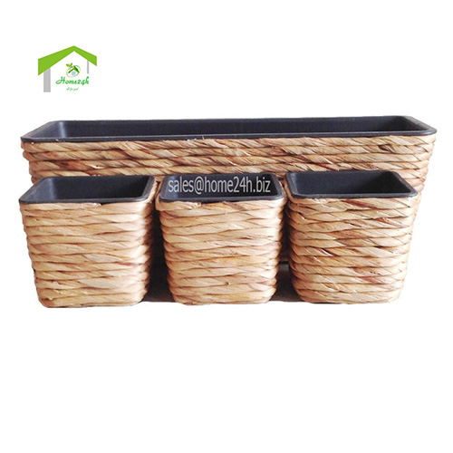 Chậu lục bình lót nhựa