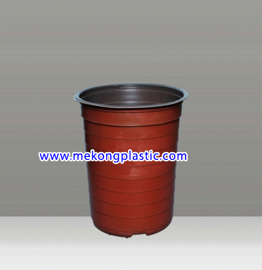 Chậu nhựa trồng cây